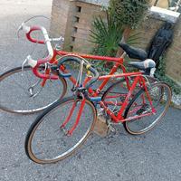 bicicletta carnielli bottecchia 