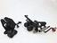 Immagine 9