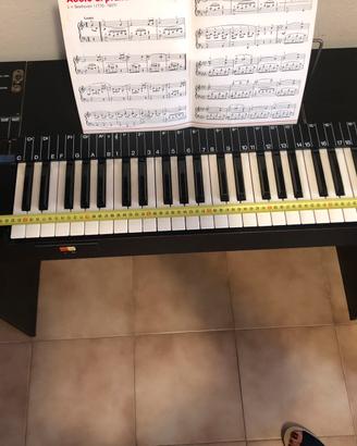 Tastiera elettronica Antonelli concerto 3