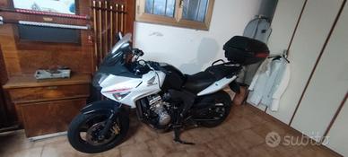 Honda CBR600F molto bella 