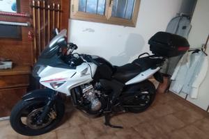 Honda CBR600F molto bella 