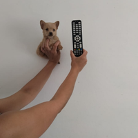Cucciolo Taglia Piccola Mini