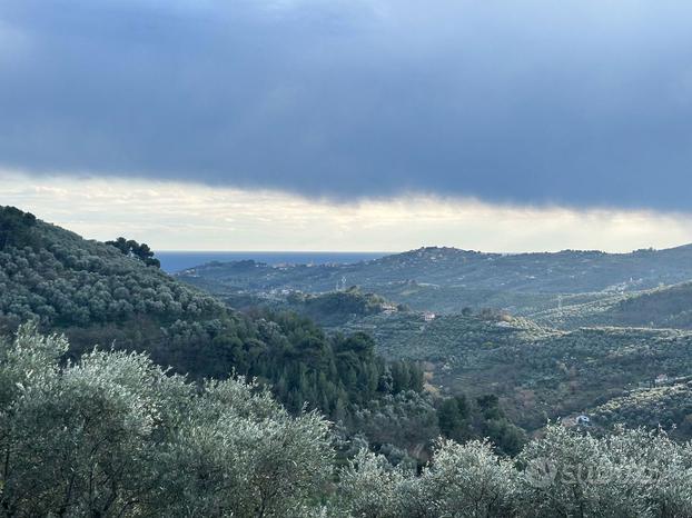 Terreno Agricolo Imperia [Cod. rif 804VCG]