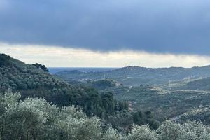 Terreno Agricolo Imperia [Cod. rif 804VCG]