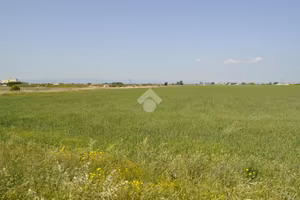 TER. AGRICOLO A FOGGIA