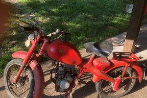moto Motom 48