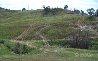 Terreno agricolo 14 Ha