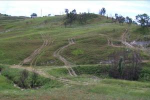 Terreno agricolo 14 Ha