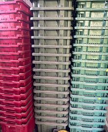 Cassette olive / frutta