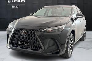LEXUS NX II 2022 - NX 350h 2.5 Business 4wd 244cv