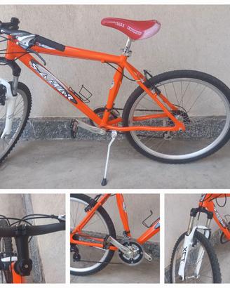Bicicletta
