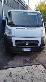 Ducato L2 H1 frigo