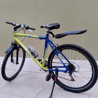 Mountain bike KASTLE 21V Shimano 