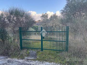 TER. AGRICOLO A SCANDICCI