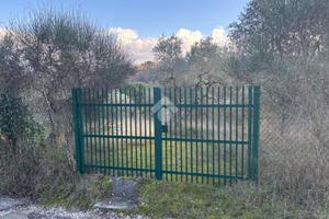 TER. AGRICOLO A SCANDICCI