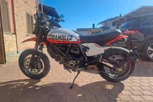 ducati scrambler 