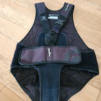 Vela Trapezio deriva Neil Pryde