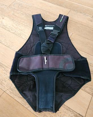 Vela Trapezio deriva Neil Pryde