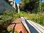 Immagine 21