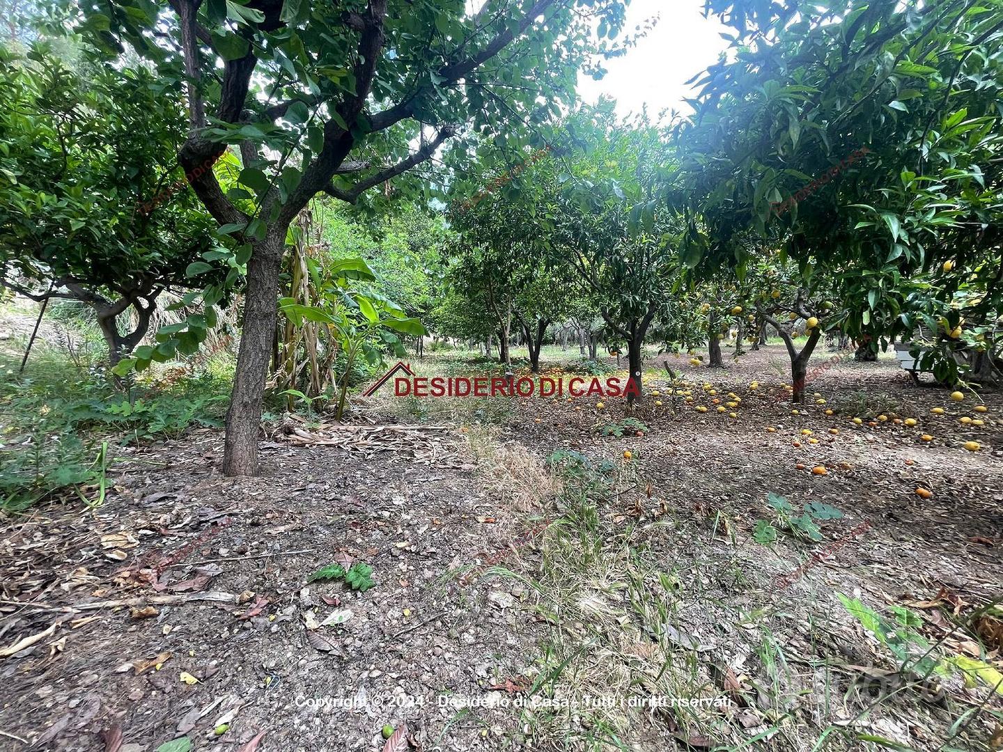 Terreno, Campofelice di Roccella. - Vista 5