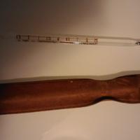 Termometro veterinario