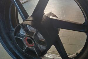 Cerchio Posteriore vtr sp1 