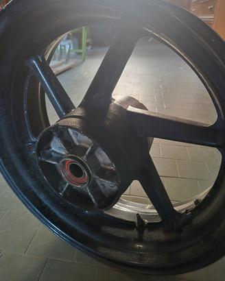 Cerchio Posteriore vtr sp1 