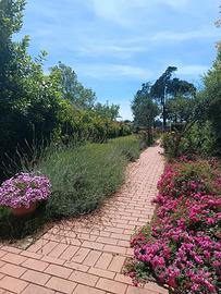 Casa Lavanda