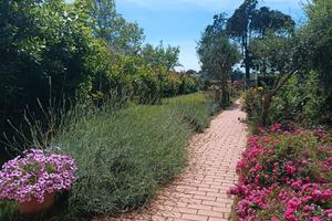 Casa Lavanda