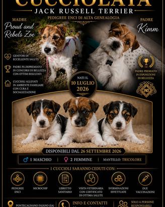 Jack Russell Terrier - Cuccioli disponibili