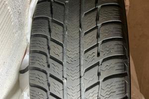 4 Pneumatici Michelin panda