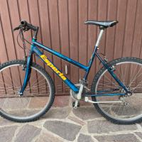 Bicicletta mountain bike