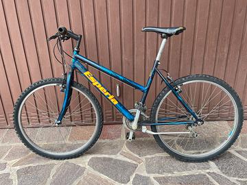 Bicicletta mountain bike