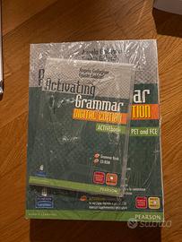 Activating Grammar Gallagher Galuzzi