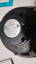 altoparlanti con crossover e cassa dedicata 