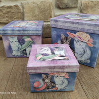 Portagioie scatola gatti