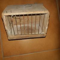 Vecchia gabbietta x trasporto uccelli