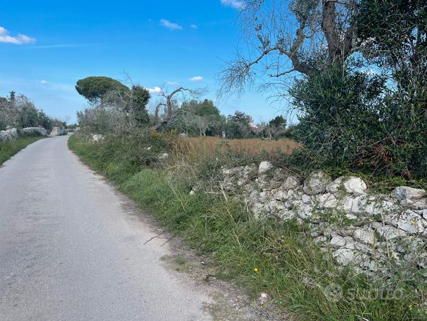 Terreno agricolo 3300 mq in agro di Galugnano