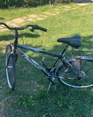 bicicletta torpado uomo