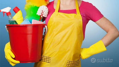 Pulizie domestiche
