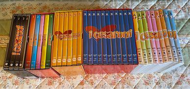 I Cesaroni dvd completi stagioni 2-6