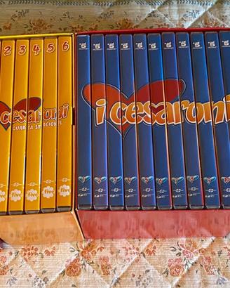 I Cesaroni dvd completi stagioni 2-6