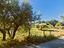 Immagine 22