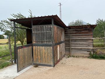 Box cavalli, ricovero, casetta