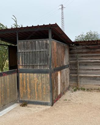 Box cavalli, ricovero, casetta