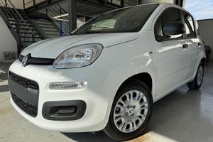 Fiat Pandina 1.0 firefly hybrid Icon s&s 65cv