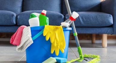Pulizie domestiche