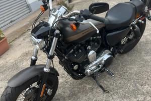 Harley Davidson sportster 1200 XL -2019