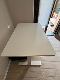 Scrivania regolabile in altezza (elettrica) 80x120