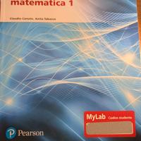Analisi Matematica 1 – Canuto, Tabacco